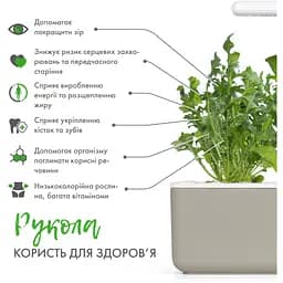 Змінний картридж Click & Grow Smart Garden Рукола, 3 капсули (8769) - мініатюра 4