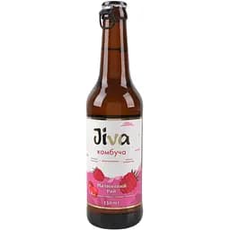 Напиток Jiva Комбуча Малиновый рай 330 мл (913219)
