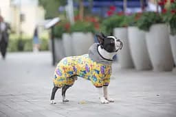 Комбінезон для собак Waudog Clothes, Рік та Морті 3, M35 - мініатюра 3