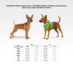 Шлея для собак м'яка Waudog Clothes з QR паспортом малюнок Авокадо XS1 В 24-27 см С 18-20 см - мініатюра 2
