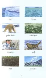 Climate Change - мініатюра 4
