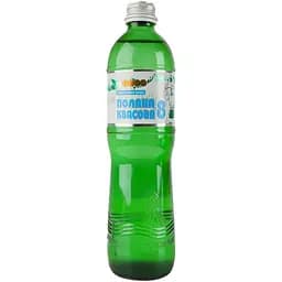 Вода мінеральна Поляна Квасова 8 Алекс лікувально-столова сильногазована 0.5 л (617541)