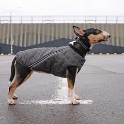 Жилетка для собак Pet Fashion E.Vest XL (сіра) - мініатюра 6