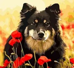 Набор для творчества алмазная картина Песик в маковом поле Strateg HEE13812, 30x30 см