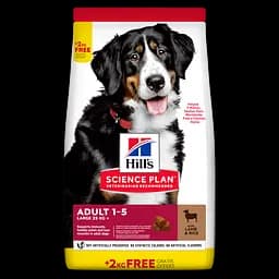Сухий корм Hill’s SP Adult Large Breed для дорослих собак великих порід, з ягням і рисом, BONUS Bag -12+2кг