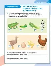 STEM-Старт. Зошит для учня. Наука про життя. 3 клас - мініатюра 6