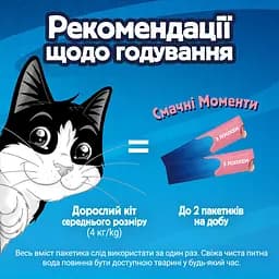 Уцінка. Вологий корм для дорослих котів Felix cмачні моменти додатковий з лососем 4 шт. х 10 г - мініатюра 9