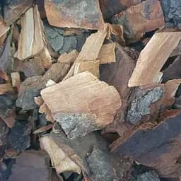 100 г каштан конский кора сушеная - свежий урожай