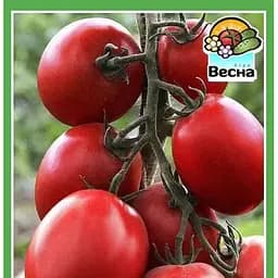Семена Весна Томат Новинка Приднестровье 0.2 г (10462)