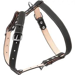 Шлея Collar подвійна для середніх собак (ширина 25мм, А:49-68см, В:68-80см) чорний