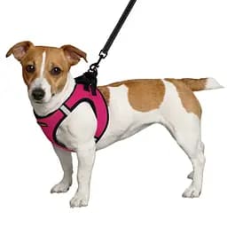 Шлея для собак Bronzedog Sport Vest L 26х20х3 см рожева - мініатюра 2