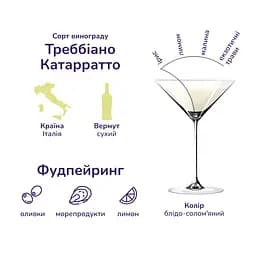 Упаковка вермуту Martini Extra Dry 18% 6 л (0.5 л х 12 шт.) - мініатюра 3