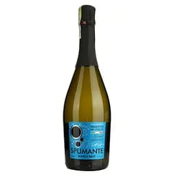 Вино игристое Terra Sacra Spumante Brut белое сухое 0.75 л