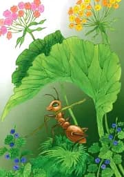 ABC Ant's adventures з доповненою реальністю - мініатюра 5