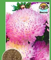 Насіння Весна Айстра Троянда Турм 0.2 г (11191)