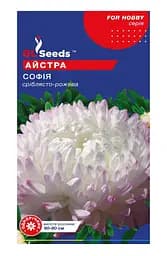 Насіння Айстри Софія 0,3 г GL Seeds