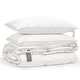 Набор MirSon пуховый №9502 Raffaello White деми одеяло 200х220 см + 2 подушки белый (2200010804935)