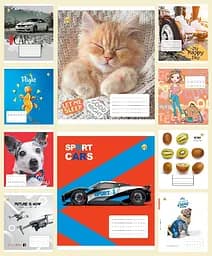 Зошити учнівські 18 аркушів клітинка Люкс ТЕ11225 Мікс 1, 20 шт. в упаковці