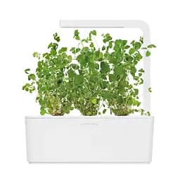 Змінний картридж Click & Grow Майоран (7571) - мініатюра 3