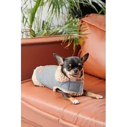 Шлея-жилет Pet Fashion Rob для собак розмір XS - мініатюра 7