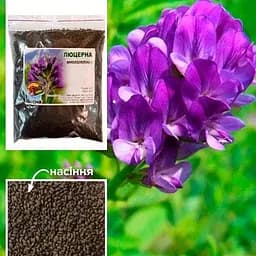 Люцерна обработанная (намагниченность) "Зарница" ТМ "Весна" 100г (15707)