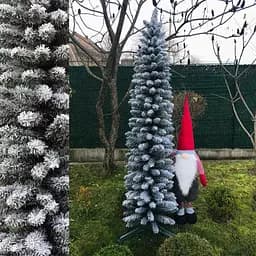 Ялинка Hvoya Альпійська вузька 220 см засніжена