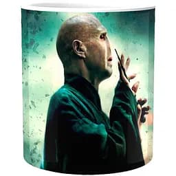 Кружка GeekLand Harry Potter Гарри Поттер Волан-де-морт HP.02.039