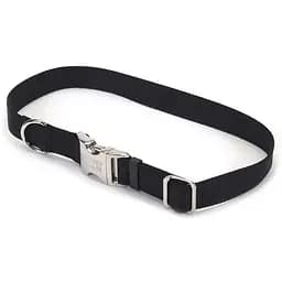 Нашийник для собак Coastal Titan нейлон 1,6x50 см