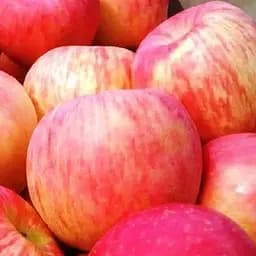 Саджанець Agro-Market Яблуня Фуджі кіку (зимовий сорт, пізній термін дозрівання) (46275) 1 шт. в упаковці