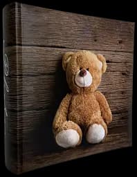 Альбом EVG 20sheet Bear 4 29x32см (20sheet T29x32 Bear 4)