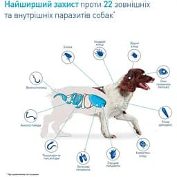 Жувальні таблетки для собак NexGard Spectra Boehringer Ingelheim XS 1.35-3.5 кг 1 таблетка (159903-1) - мініатюра 2