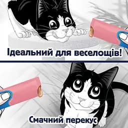 Уцінка. Вологий корм для дорослих котів Felix cмачні моменти додатковий з лососем 4 шт. х 10 г - мініатюра 4