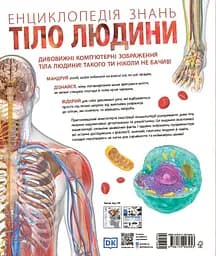 Енциклопедія знань. Тіло людини - Стів Хоффман - мініатюра 2