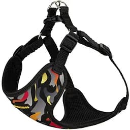 Шлея для собак Bronzedog Sport Гравитация M 22х20х2 см черно-серая