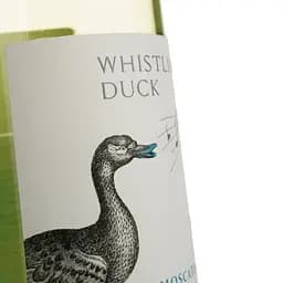 Вино Calabria Family Wines Whistling Duck Moscato, біле, солодке, 6%, 0,75 л (8000019567567) - мініатюра 3