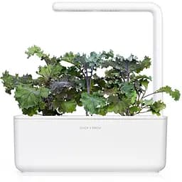 Змінний картридж Click & Grow Smart Garden Червона капуста, 3 капсули (8752) - мініатюра 5