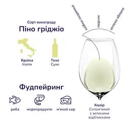 Вино I Castelli Pinot Grigio біле сухе 0.75 л х 2 шт. - мініатюра 4