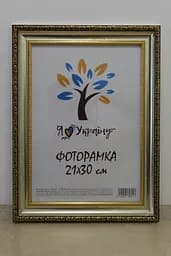 Фоторамка 21Х30, (А4), срібна із золотим обрамленням, 377-036S, ОРГСКЛО+ДВП                                                                                           