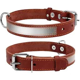 Ошейник для собак Collar со светоотражающей лентой (4820082496388)