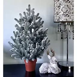 Ялинка Hvoya Traditional лита в горщику 70 см засніжена новинка