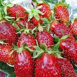 Саджанець Agro-Market Суницеполуниця Мускатна (середній термін дозрівання, ягоди не схильні до гниття) 5 шт. в пакуванні (37326)