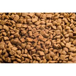 Уцінка. Сухий корм для стерилізованих котів Club 4 Paws Premium Sterilised 14 кг (B4630701)  - мініатюра 2