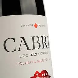 Вино Cabriz червоне сухе 0.75 л - мініатюра 3