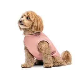Боротьба Kale Pet Fashion для собак XS рожева - мініатюра 3