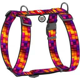 Шлея для собак Waudog Nylon Кубы 3Д анатомическая H-образная с QR паспортом XL 55-95 см