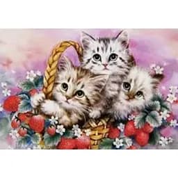 Алмазна мозаїка зі стразами на підрамнику Кошенята 20*30 см