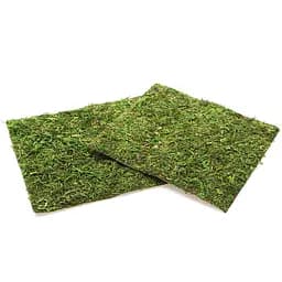 Фон з натурального моху Repti-Zoo Natural Moss Back & Bottom 20x20см 2 шт (NCM2020) для тераріуму - мініатюра 6