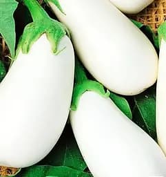 Семена Весна на развес Баклажан Белая груша цена за 1 г (178557)