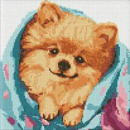 Набор с алмазной мозаикой Счастливый шпиц AMO7781, 30x30 см