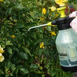 Пневматичний обприскувач Bradas AQUA SPRAY CLEAR 1.5 л AS0150CL - мініатюра 6